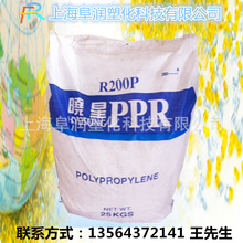 马拉松黄菲个人资料