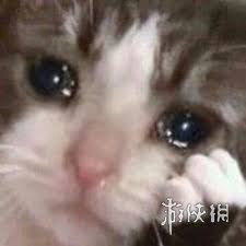 Beats新款耳机售价高昂