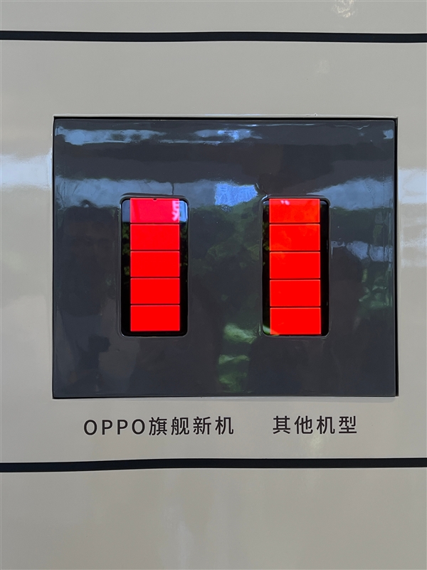 手球是什么意思